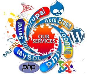 Want Best Web Design Services ?